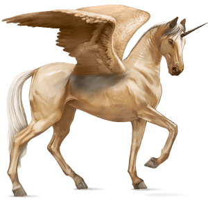 winged riding unicorn akhal-teke palomino