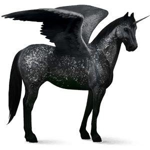 winged riding unicorn black snowflake 