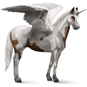 winged riding unicorn paint horse bay tovero 
