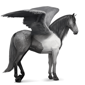 riding pegasus paint horse dun tobiano