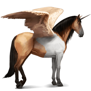 winged riding unicorn purebred spanish horse dapple gray