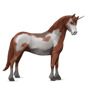 unicorn pony australian pony dapple gray