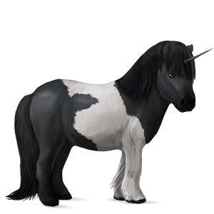 unicorn pony shetland cherry bay