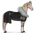 draft horse anne of austria coat