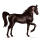 riding horse mustang dark bay