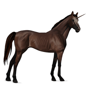 licorne_v1828806360.png