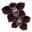 orchidee-noire.png?jayzegatu