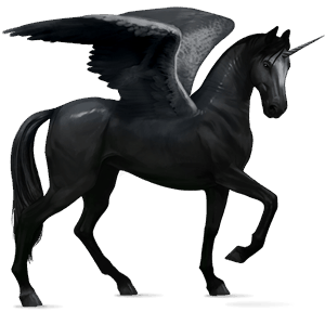 winged riding unicorn akhal-teke black