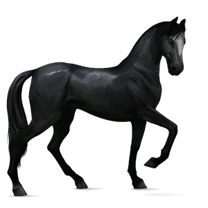 riding horse akhal-teke palomino