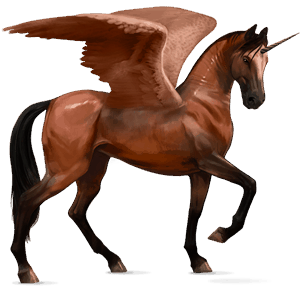 winged riding unicorn marwari cherry bay