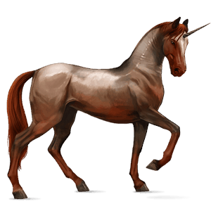 riding unicorn arabian horse strawberry roan