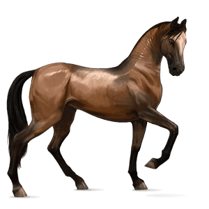 riding horse paint horse dapple gray tobiano