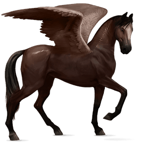 riding pegasus argentinean criollo roan