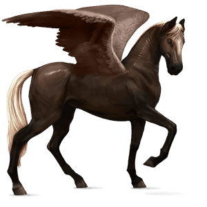 riding pegasus german saddle horse roan