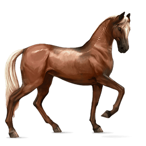 riding horse hanoverian flaxen chestnut 