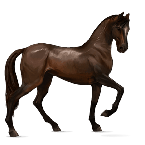riding horse thoroughbred light gray