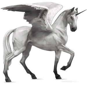 winged riding unicorn akhal-teke light gray