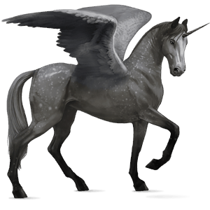 winged riding unicorn roan