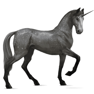 riding unicorn purebred spanish horse dapple gray