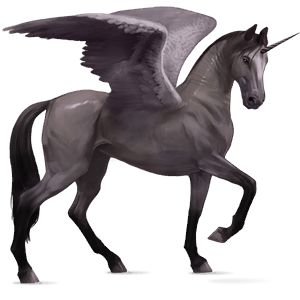 winged riding unicorn akhal-teke mouse gray