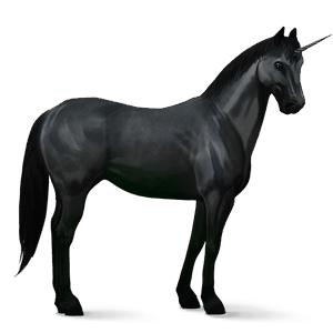 riding unicorn appaloosa black