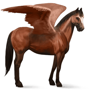 riding pegasus purebred spanish horse dapple gray