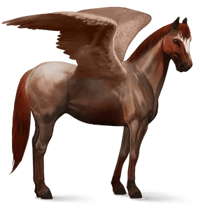 riding pegasus quarter horse strawberry roan