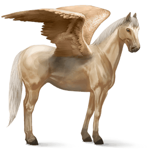riding pegasus thoroughbred bay