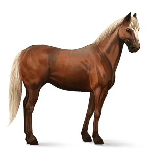 riding horse quarter horse flaxen chestnut 