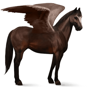 riding pegasus quarter horse bay