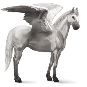 riding pegasus arabian horse fleabitten gray