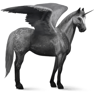 winged riding unicorn polish konik black