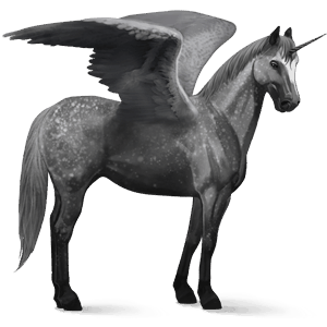 winged riding unicorn chestnut
