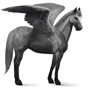 draft pegasus percheron dapple gray