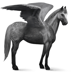 riding pegasus quarter horse dapple gray