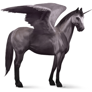 winged riding unicorn quarter horse mouse gray