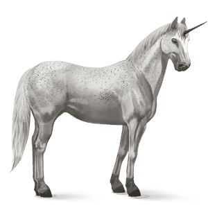 riding unicorn vanner black tobiano