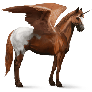 winged riding unicorn appaloosa chestnut blanket 