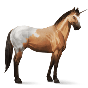 riding unicorn cremello tobiano