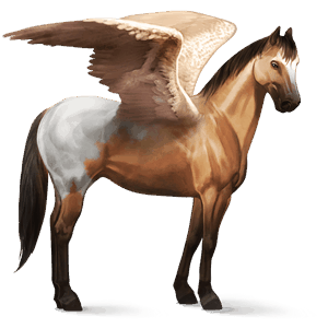 riding pegasus thoroughbred dark bay