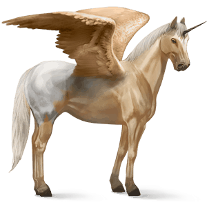 winged riding unicorn paint horse bay overo