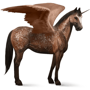 winged riding unicorn appaloosa chestnut spotted blanket 