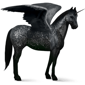 winged riding unicorn appaloosa black snowflake 