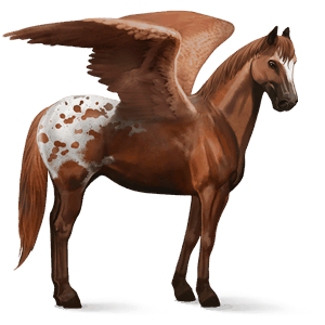 riding pegasus appaloosa bay spotted blanket 