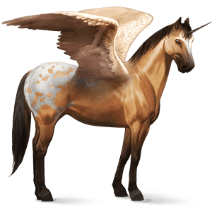 winged riding unicorn arabian horse dapple gray