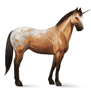 riding unicorn cremello tobiano