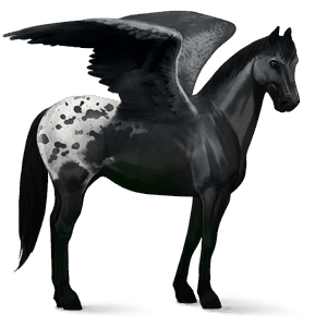 riding pegasus chestnut overo