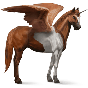 winged riding unicorn chestnut tobiano
