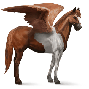 riding pegasus chestnut tobiano