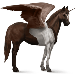 winged riding unicorn paint horse bay tobiano